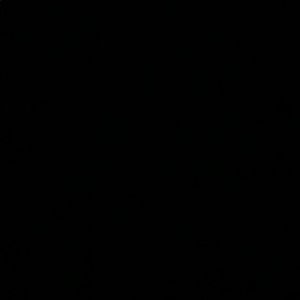 Meet your Posher, Ari